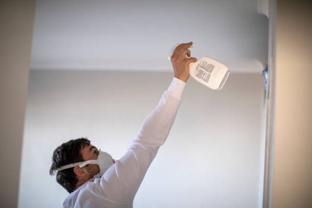 Best Basement Mold Remediation in Howey In The Hills, FL
