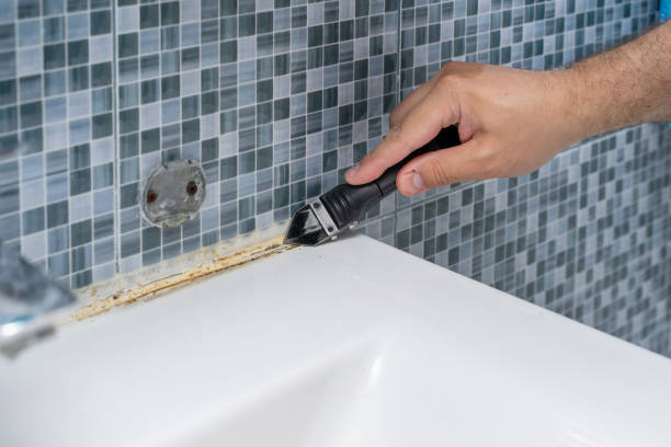 Best Health and Safety Mold Remediation in Howey In The Hills, FL